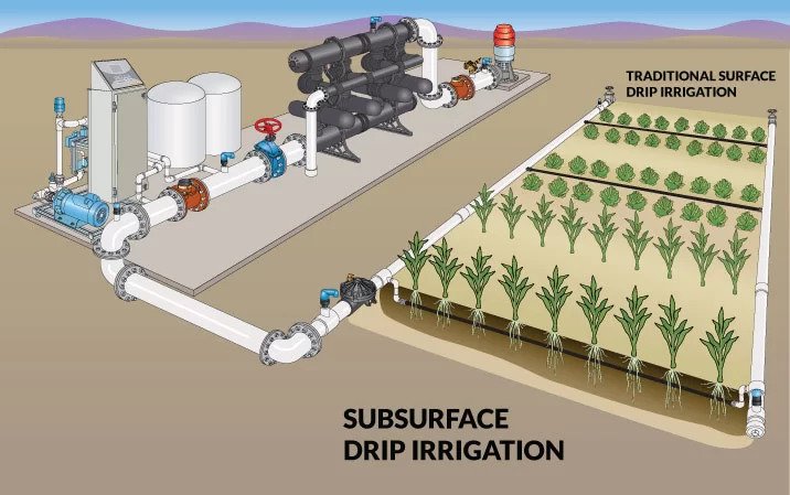 Bendrip Subsurface drip irrigation 